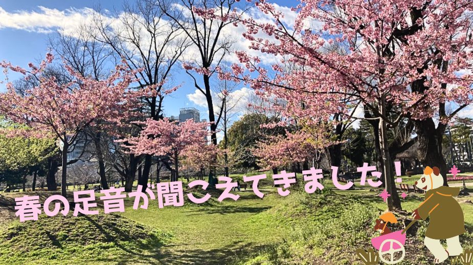 駿府城公園の3月の写真